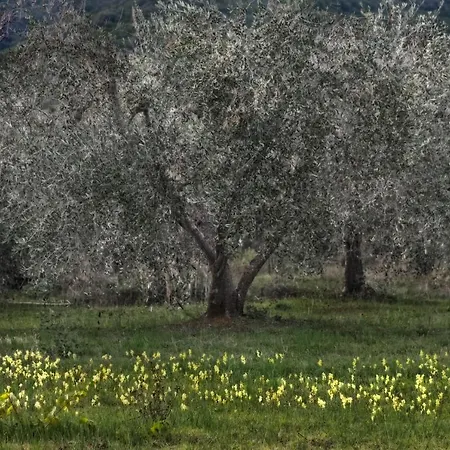 Podere Le Cortine * Ravi