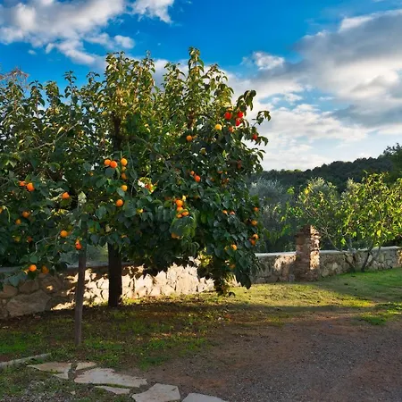 Podere Le Cortine Ravi