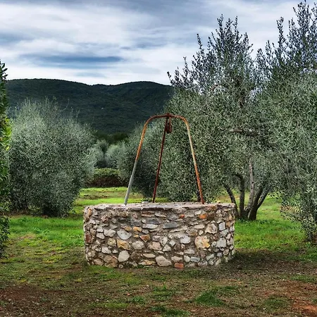 Holiday home Podere Le Cortine