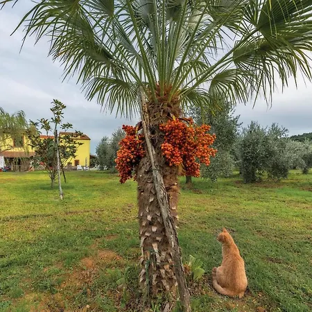 Holiday home Podere Le Cortine *